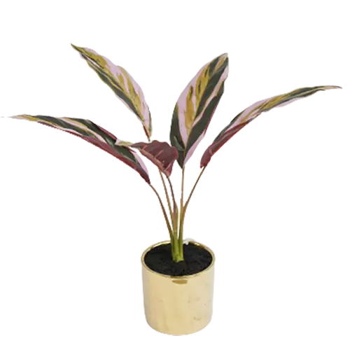 Artificial Hot Selling Tabletop Plant, 42 CM